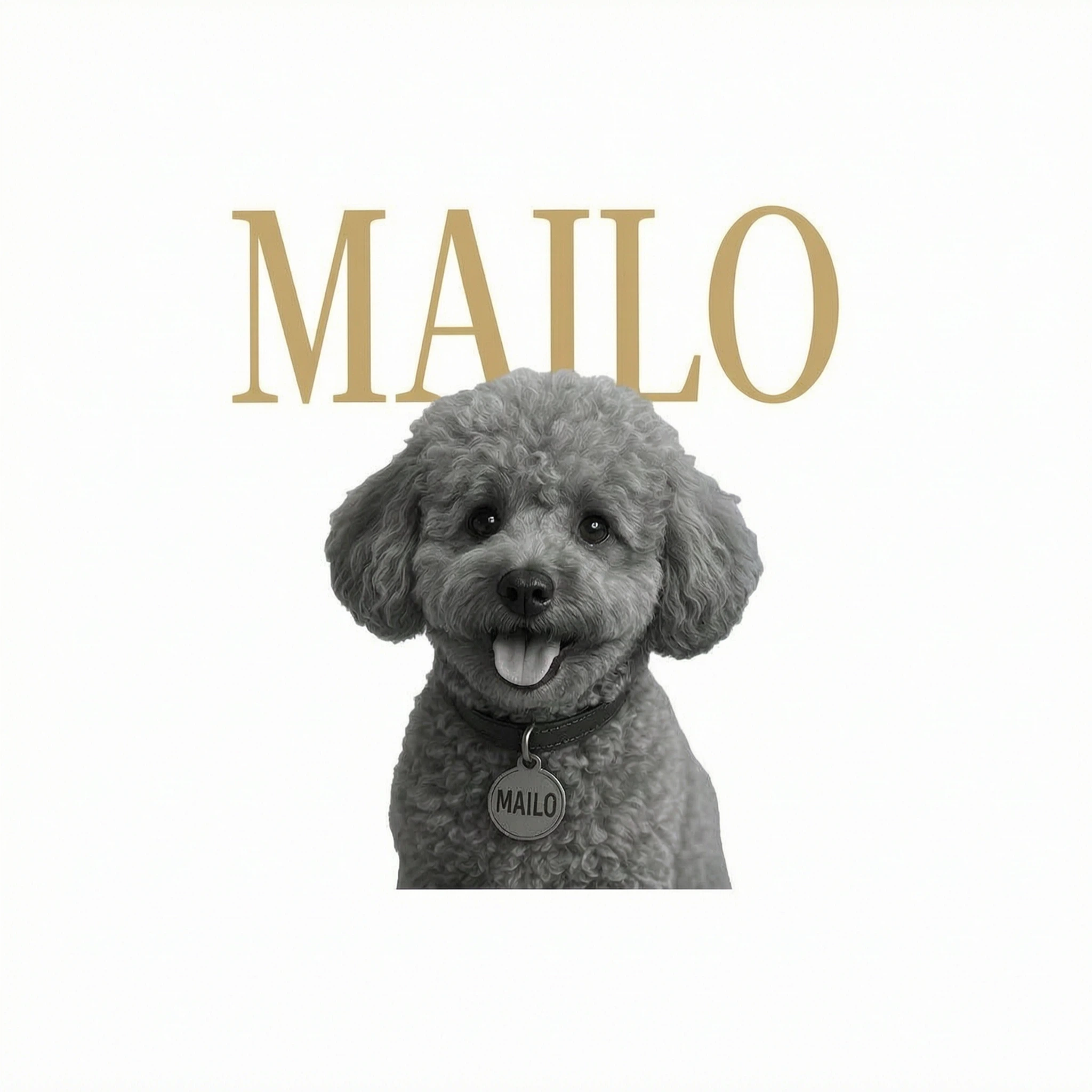 Custom Pet Photo And Name - Personalized Shirt